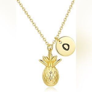 Small pineapple necklace with D initial disk pendant 14k gold plated
